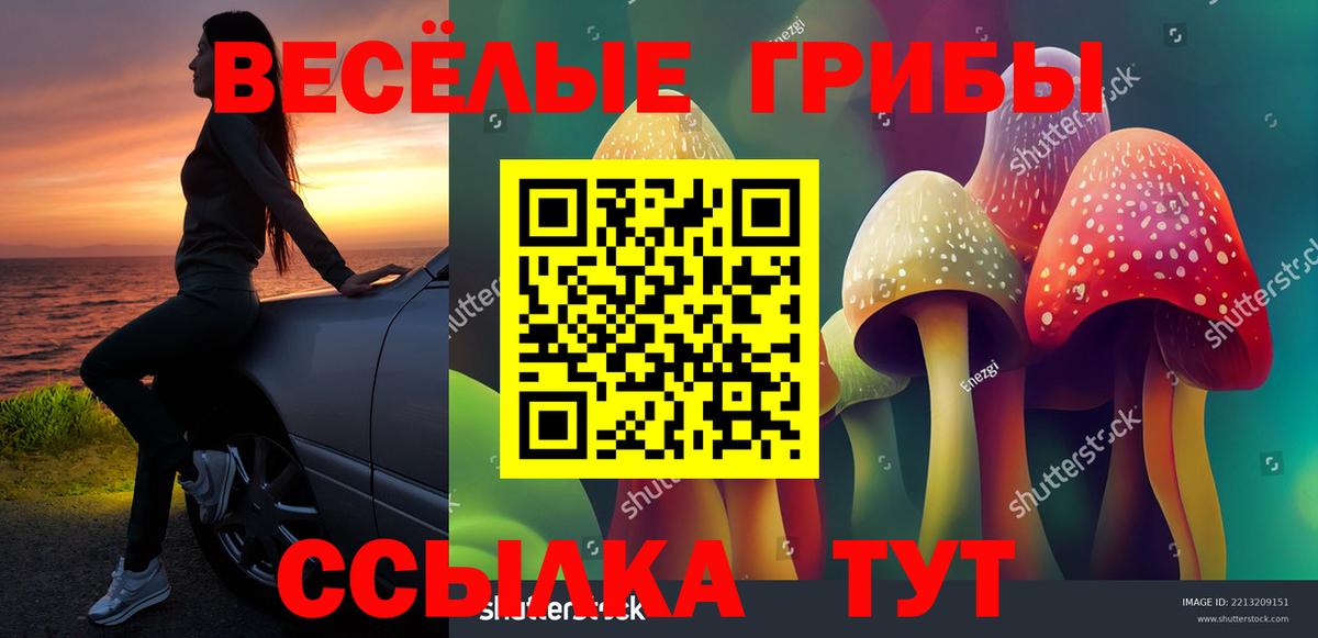 Псилоцибиновые грибы мицелий  Галлюциногенные грибы GOLDEN TEACHER  Вход с VPN  Альметьевск 